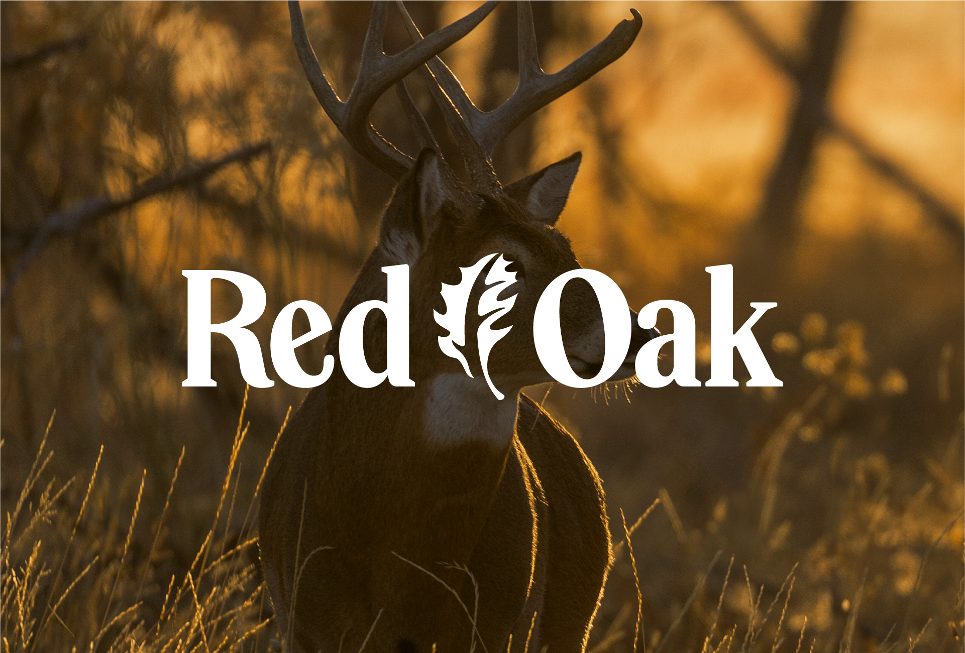 Red Oak Hunting Blinds